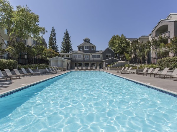 Avalon Campbell apartments in Campbell CA