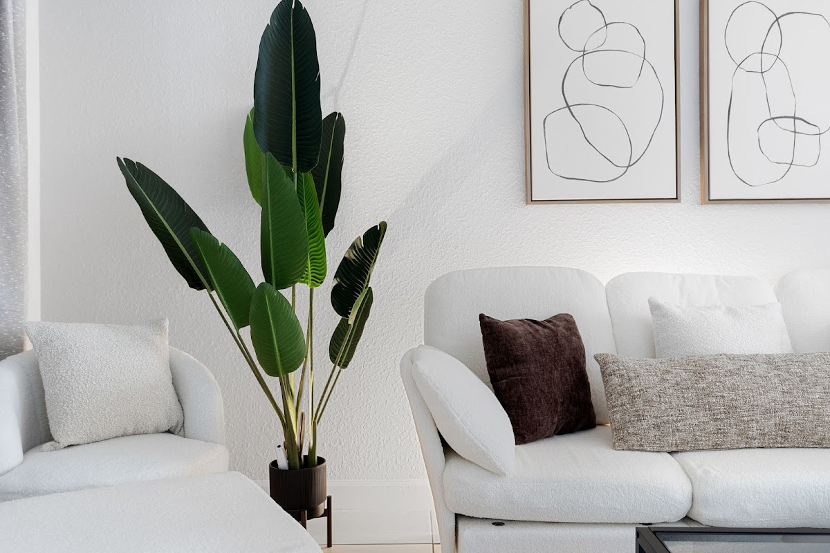 BC Tampa Properties apartments in Tampa FL