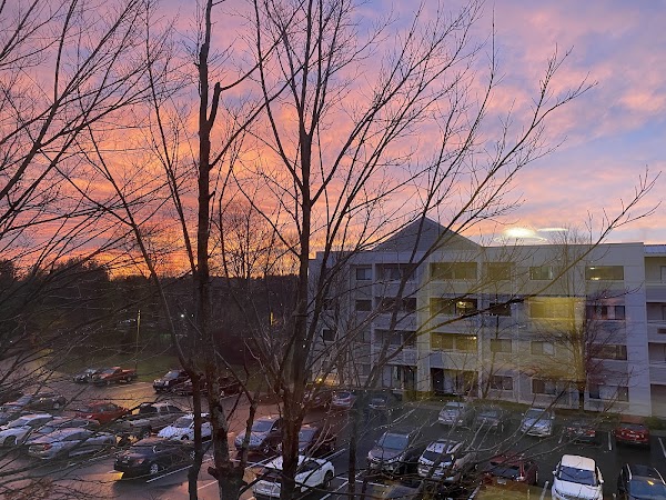 Normandy Heights Management apartments in New Britain, CT