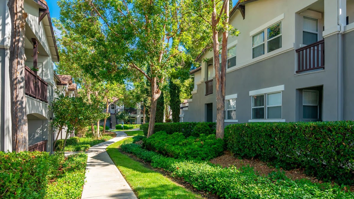 Skyview Apartments apartments in Lake Forest, CA