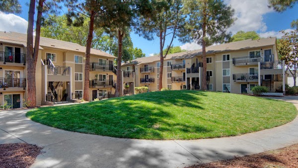 Arbor Terrace Apartments apartments in Sunnyvale CA