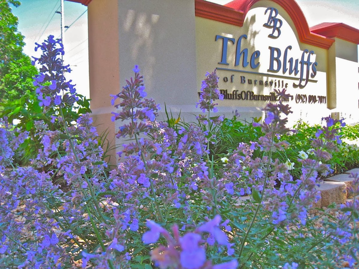 The Bluffs of Burnsville apartments in Eagan, MN