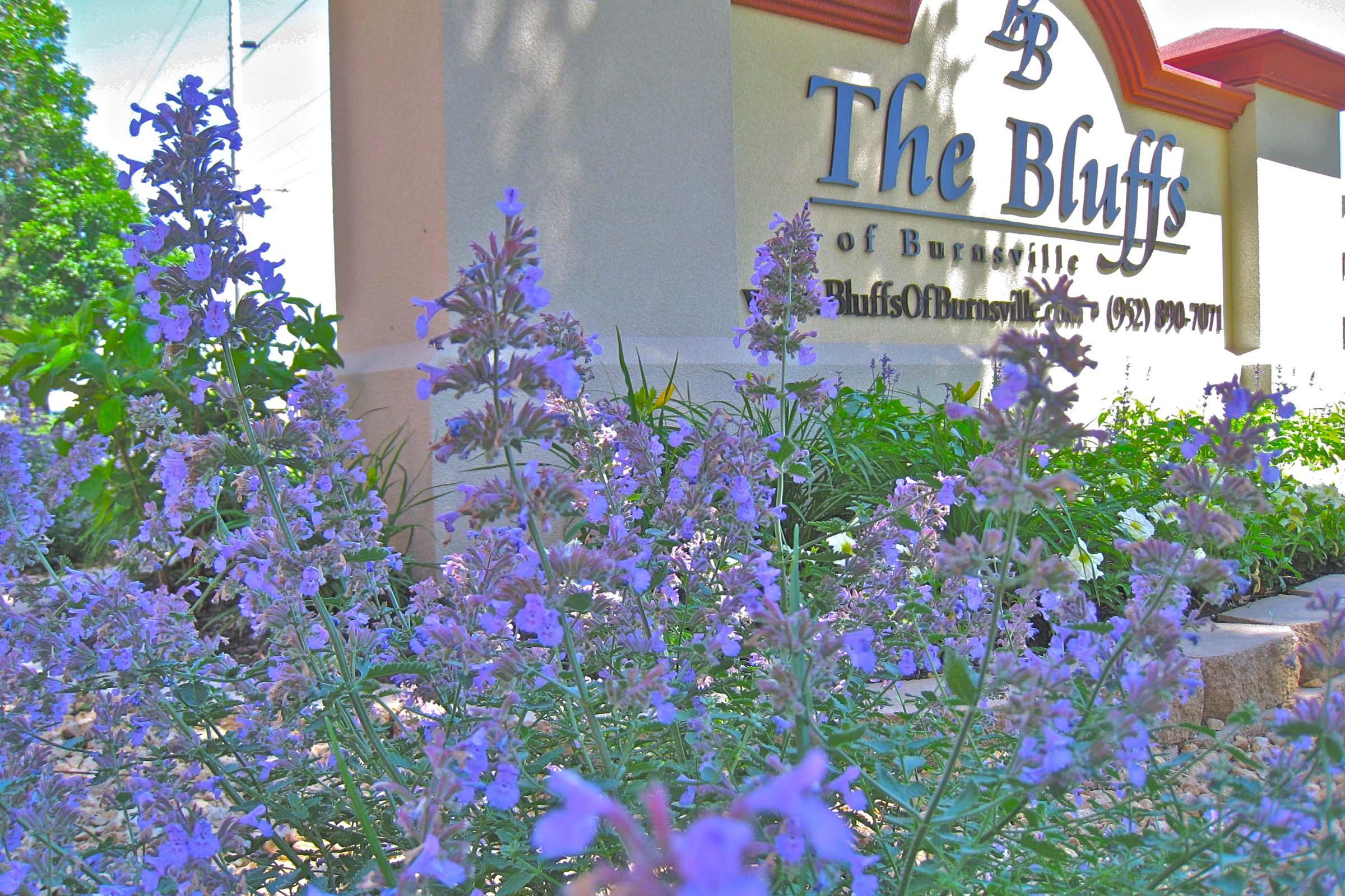 The Bluffs of Burnsville apartments in Eagan, MN