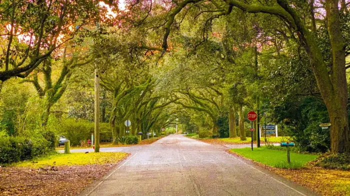 PURE Property Management of Alabama apartments in Hoover, AL