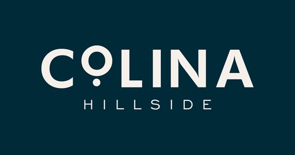 Colina Hillside apartments in Hoover, AL