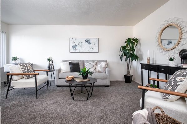 Chateau Apartments apartments in Albuquerque, NM