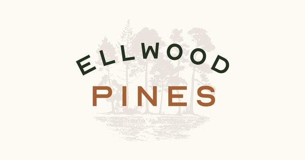 Ellwood Pines apartments in Alpharetta, GA