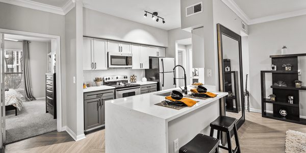 The Palms at Clear Lake Apartments apartments