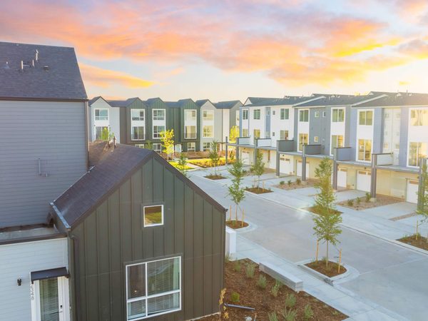 Lupine Longmont apartments