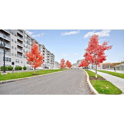 Abbey Lane apartments