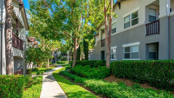 Skyview Apartments apartments