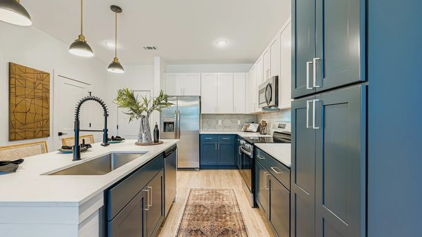 Ara Townhomes & Flats apartments in Castle Rock, CO