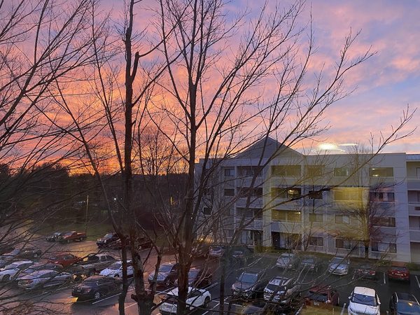 Normandy Heights Management apartments in New Britain, CT