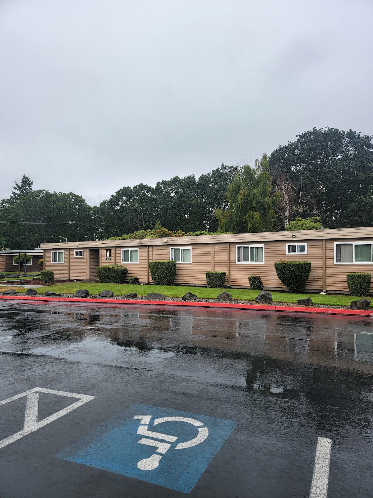 Morningtree Park Apartments apartments in Lakewood, WA