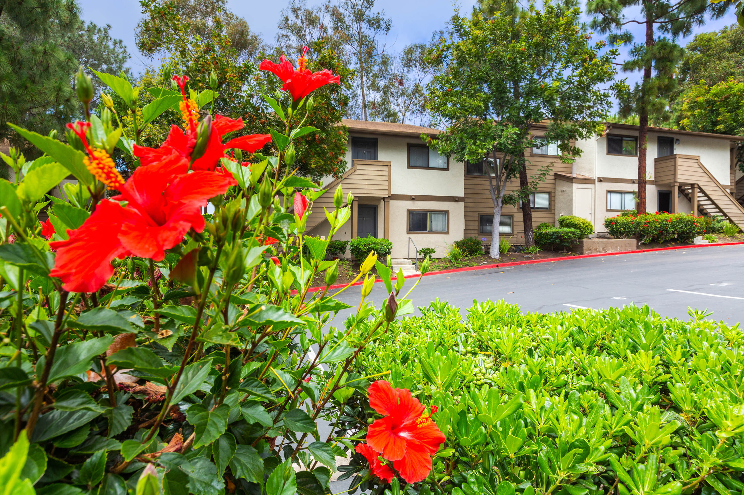 Elan Quail Pointe apartments in Encinitas, CA