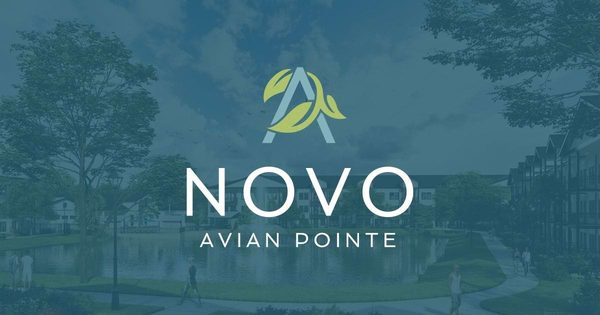 NOVO Avian Pointe apartments in Apopka, FL