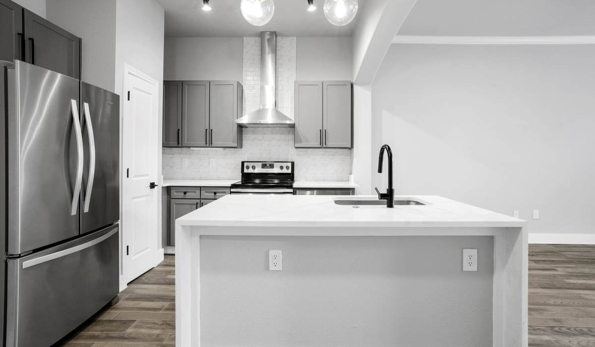 The Fitz Apartments apartments in Houston, TX