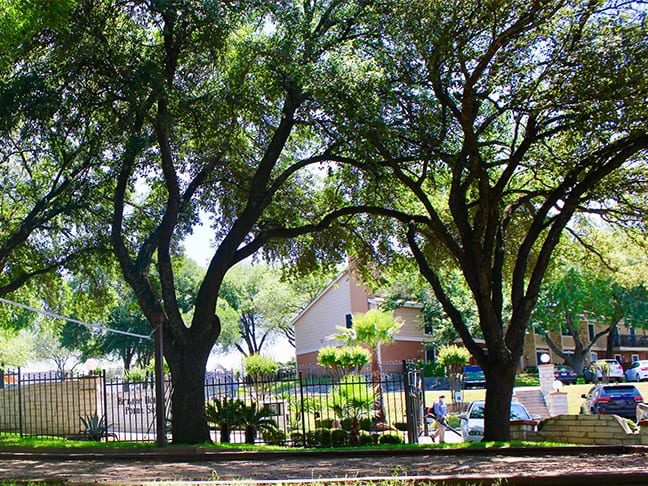 Point South and Bridge Hollow Apartments apartments in Austin, TX