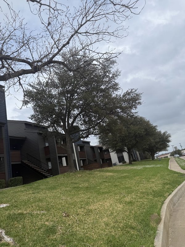 Crossings on Walnut Hill apartments