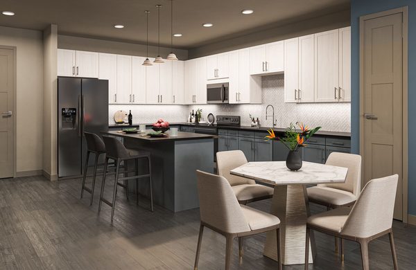 880 Lyn Luxury Apartments apartments in Irving, TX