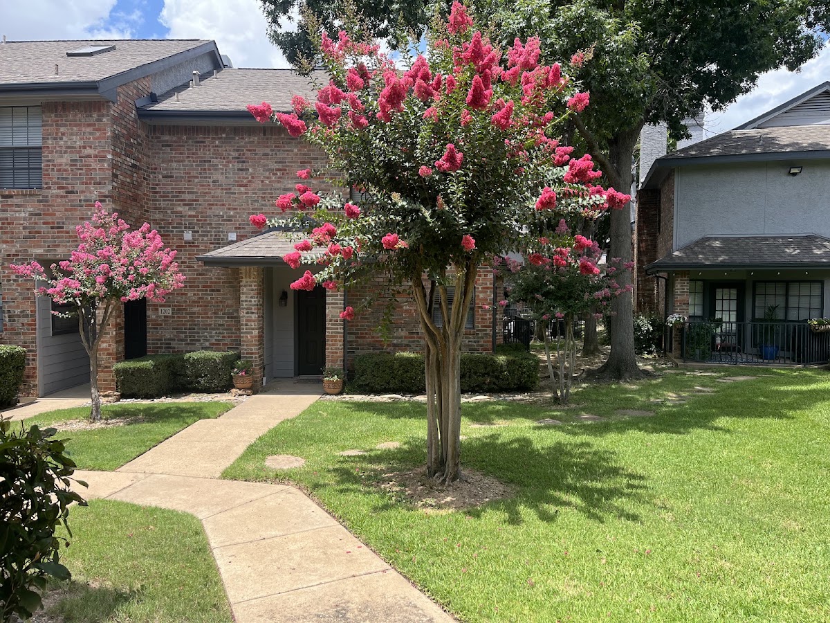 Pecan Square apartments in Addison, TX