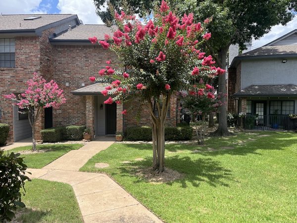 Pecan Square apartments