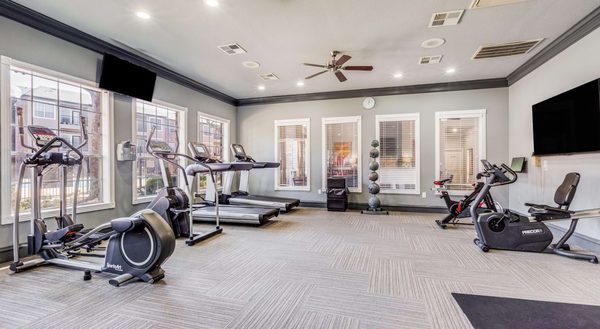 The Trestles Apartments apartments