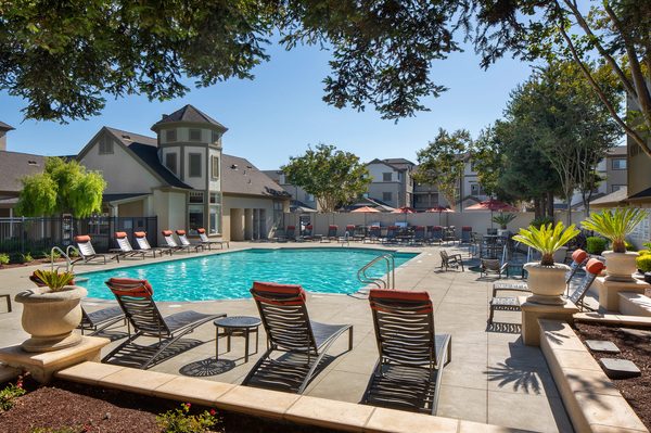 Sycamore Bay Apartments apartments in Newark, CA