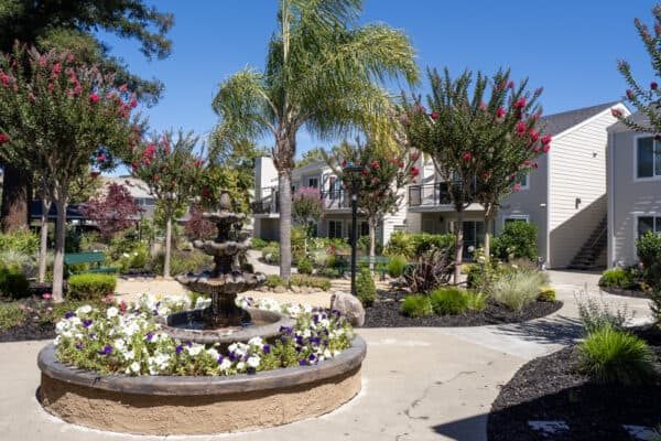 Town & Country Apartments apartments