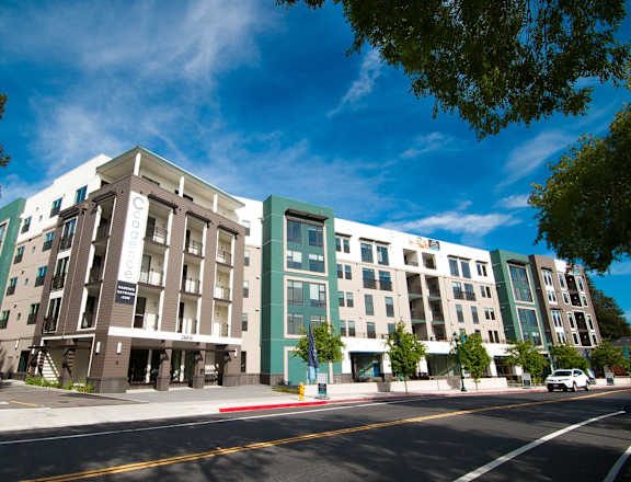 Cadence Apartments apartments