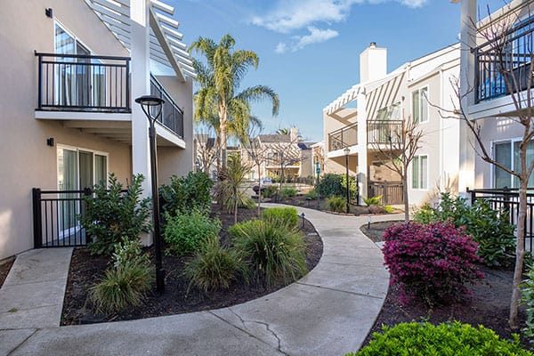 Bart Springs Apartments apartments