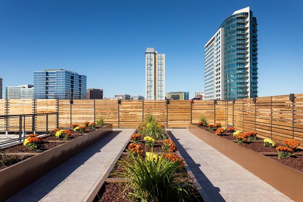 The Taft Apartments apartments