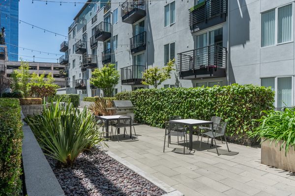 Domain Oakland apartments