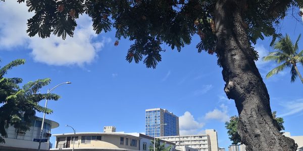 Hale Kalele Apartments apartments