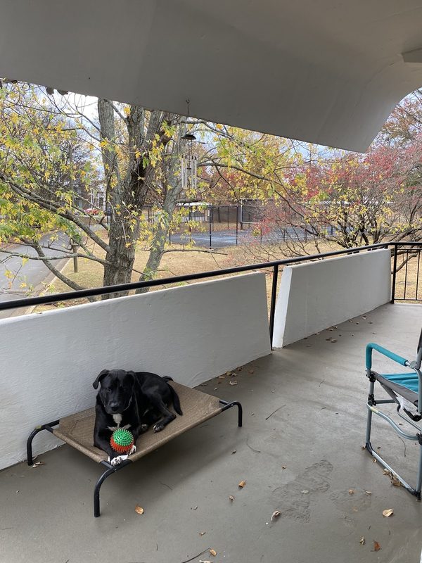 Imperial Gardens apartments