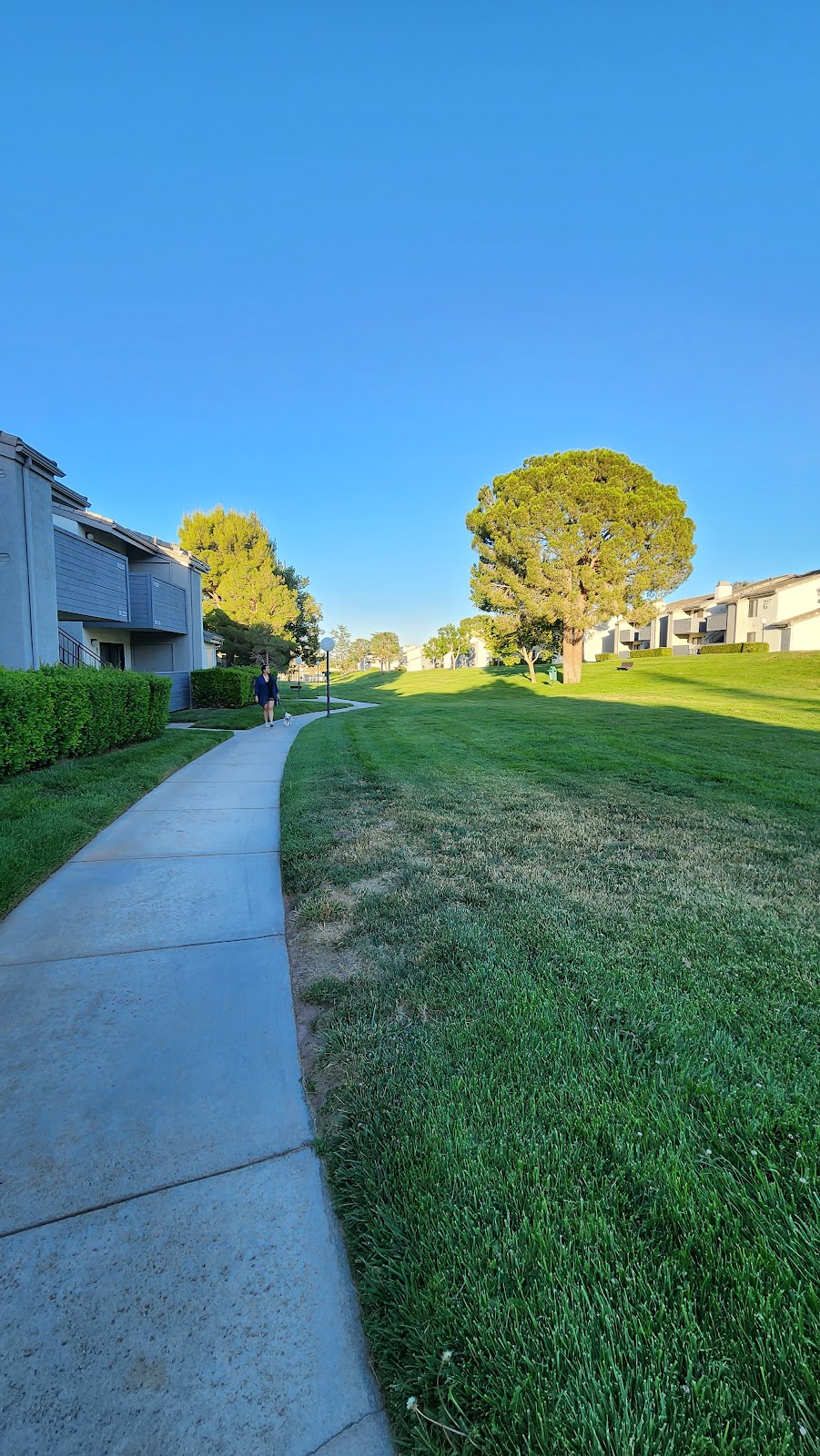 Chaparral Apartments apartments in Palmdale, CA
