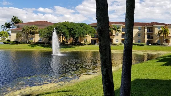 Windsor Pembroke Pines Apartments apartments in Pembroke Pines, FL
