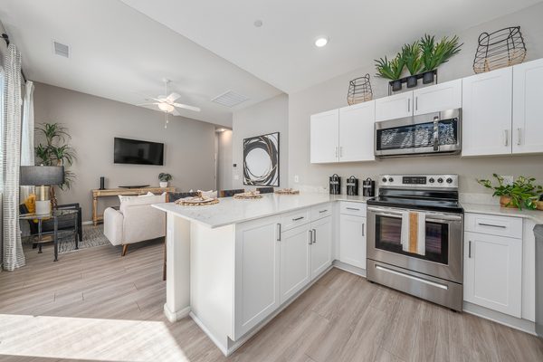 TerraLane on Cotton apartments in Surprise, AZ