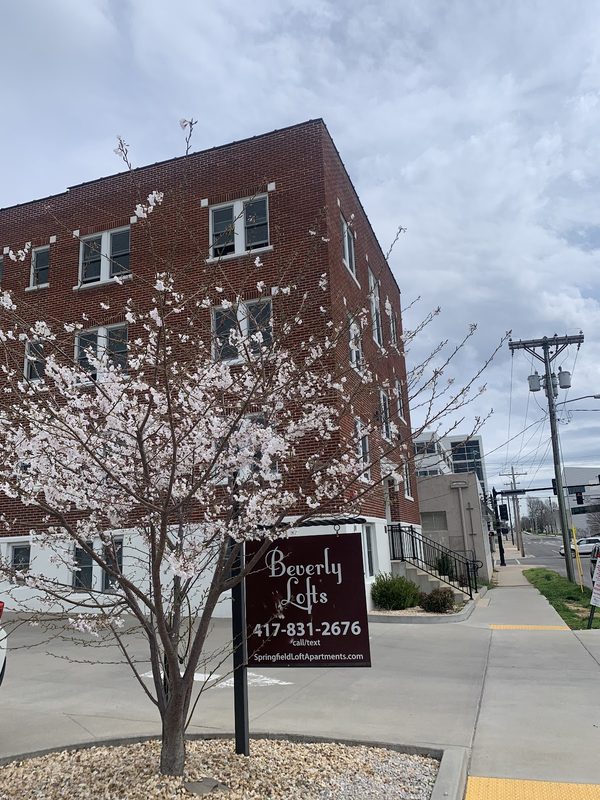 Beverly Lofts apartments in Springfield, MO