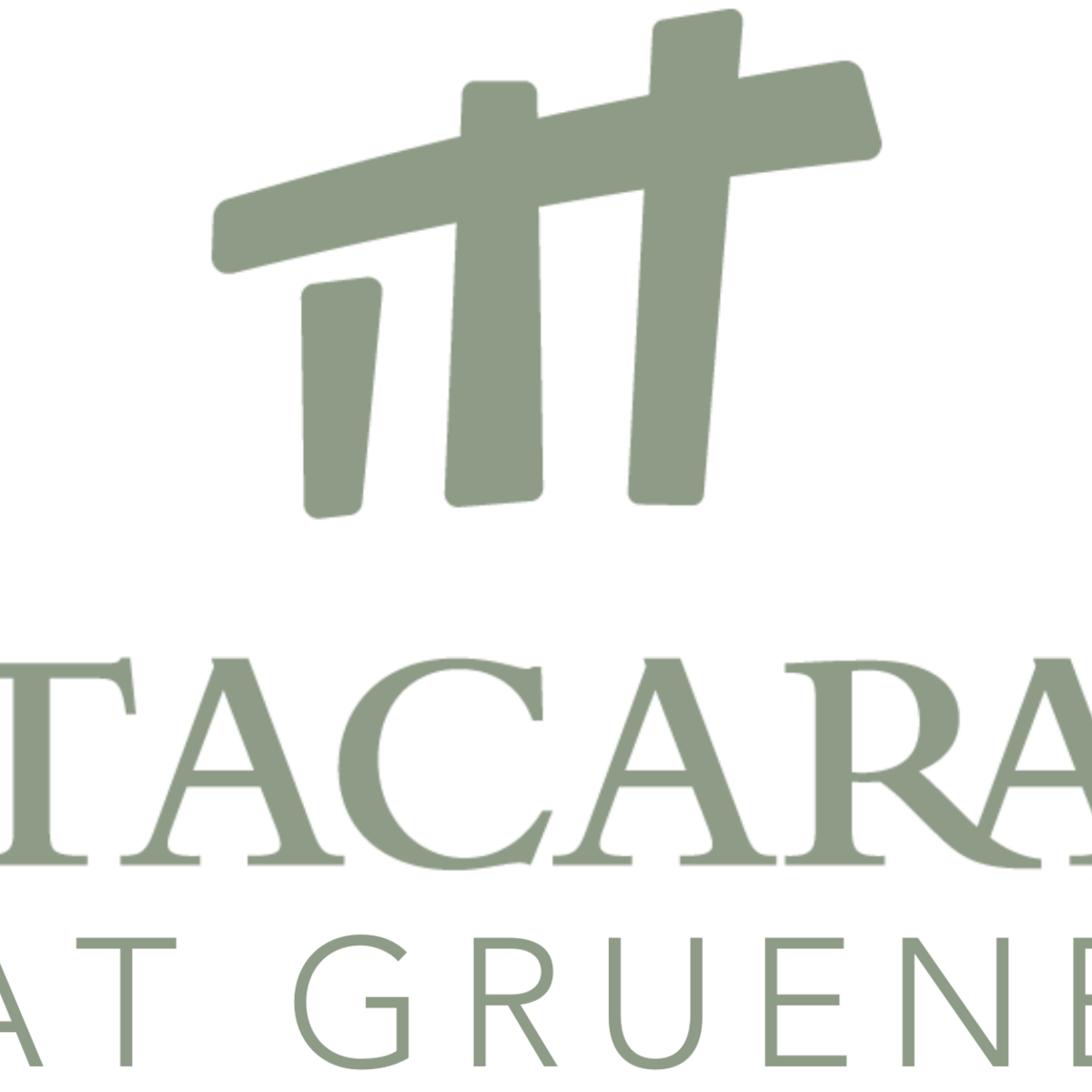 Tacara Gruene apartments in New Braunfels, TX