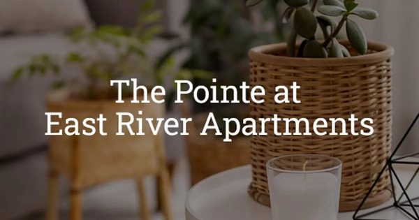 The Pointe @ East River Place Apartments apartments in Jackson, MS