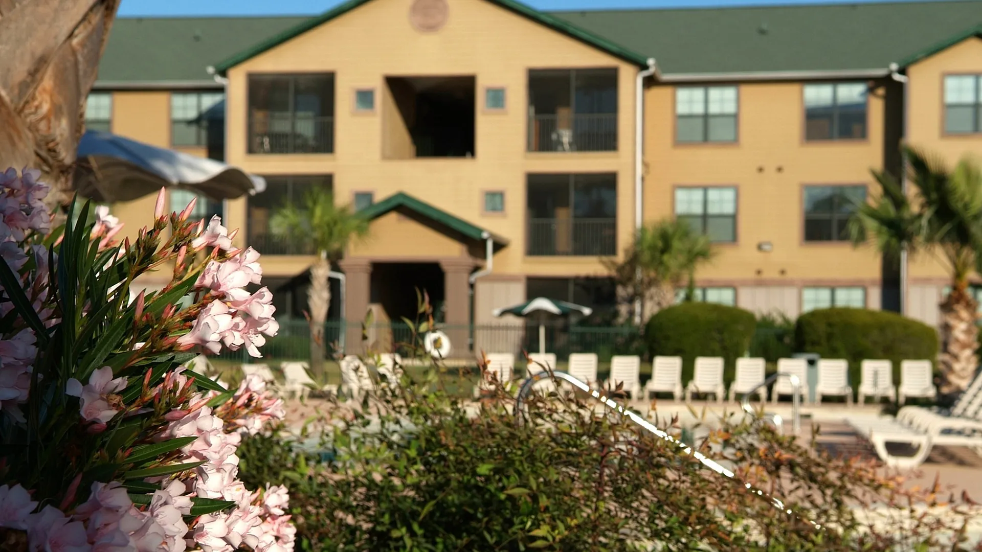Reveille Ranch apartments in Bryan, TX