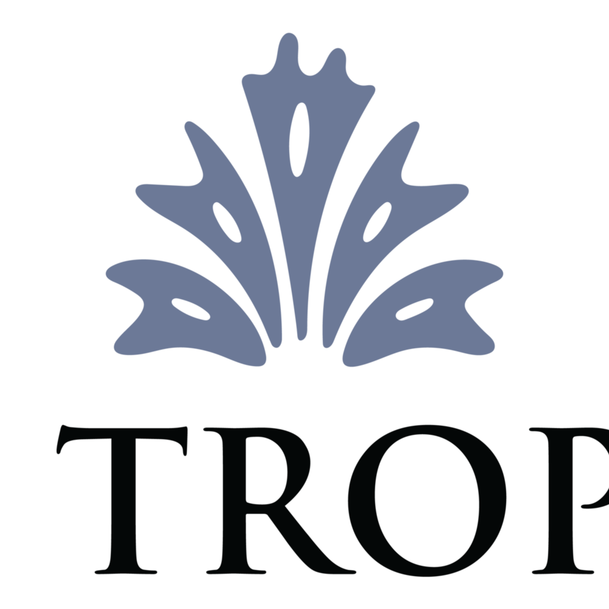 St. Tropez Luxury Townhomes & Villas apartments in Plantation, FL