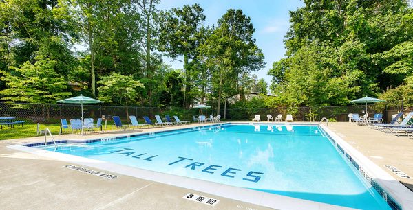 Tall Trees Apartments apartments in Scranton, PA