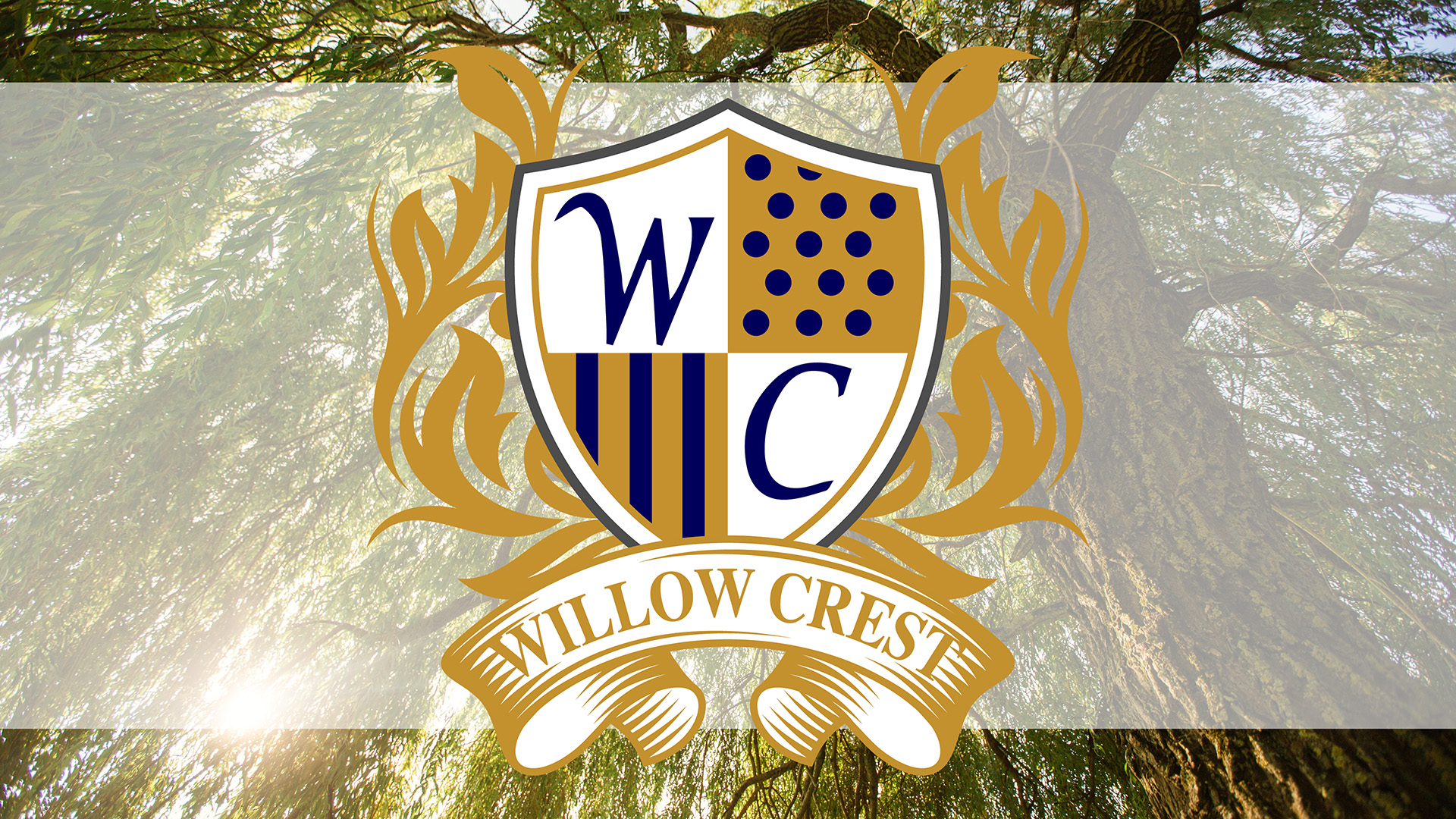 Willow Crest Apartments apartments in Abilene, TX