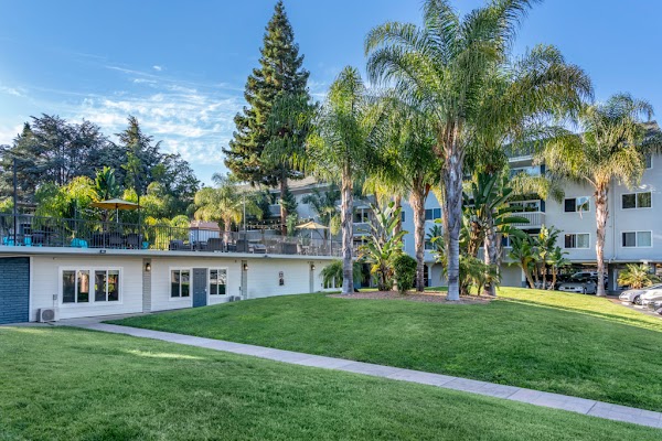 Regency at Mountain View Apartments apartments in Mountain View, CA