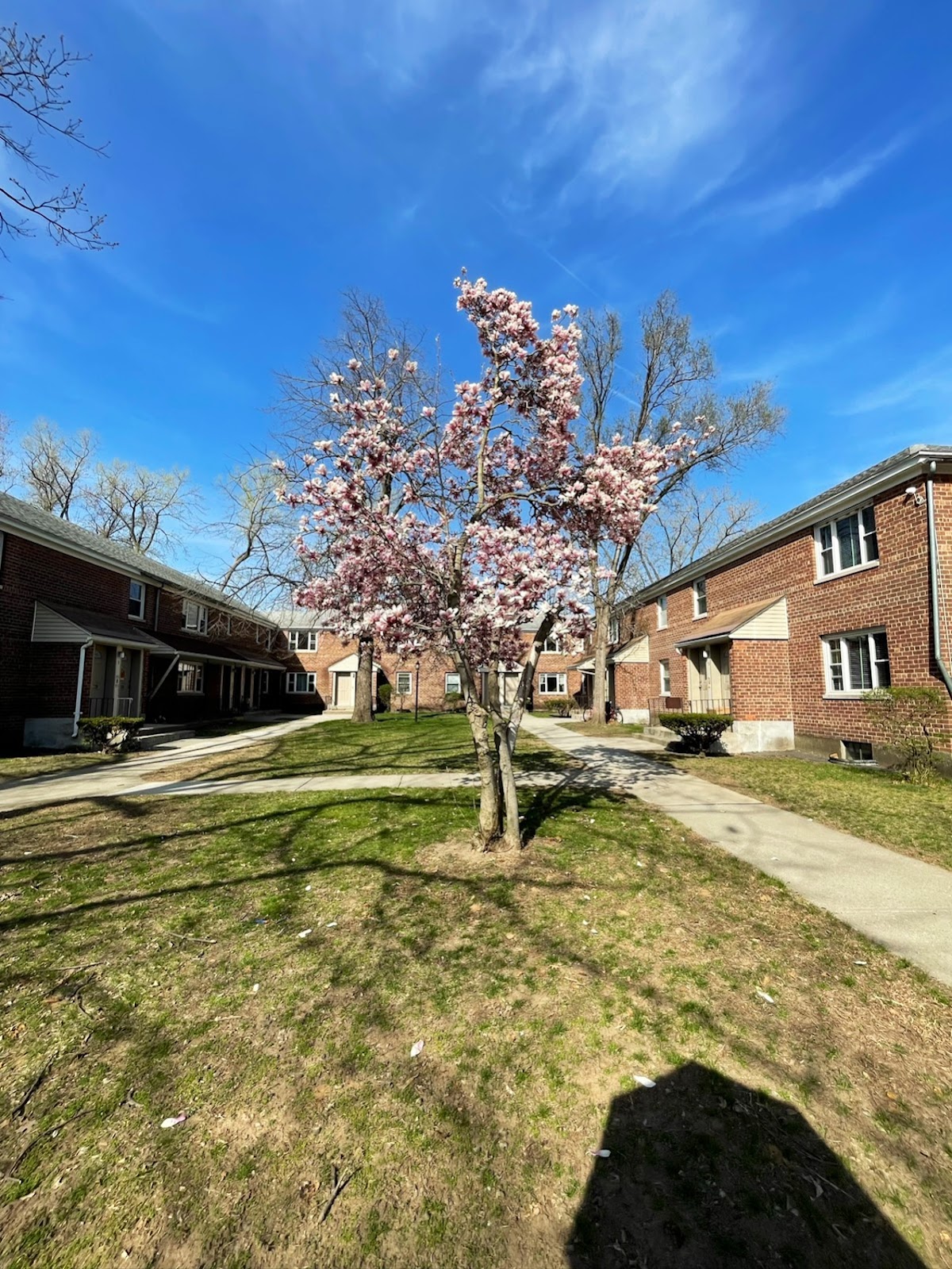 Danker Village Apartments apartments in Albany, NY