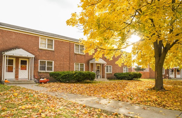 Maple Pine Manor apartments in Albany, NY
