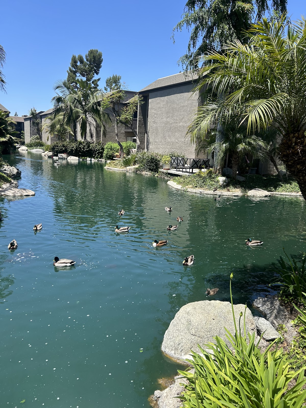 LAKE DIANNE Apartments apartments in Santa Ana CA