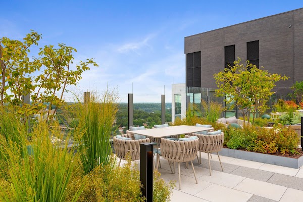 Cortland Rosslyn apartments in Arlington VA